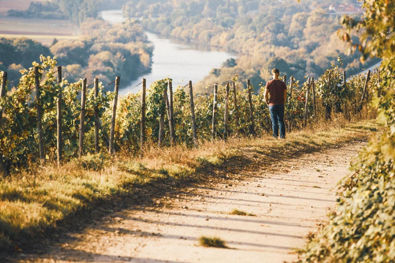 Weingut Pastoriushaus - Artur Steinmann Hotel Sommerhausen Luaran gambar